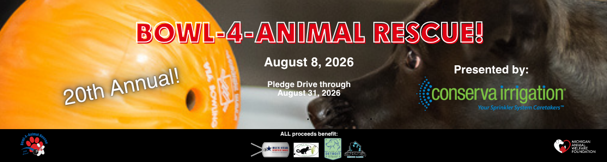 Michigan Animal Welfare Foundation